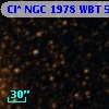Cl* NGC 1978    WBT    5231