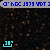 Cl* NGC 1978    WBT    5232