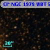 Cl* NGC 1978    WBT    5236