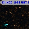 Cl* NGC 1978    WBT    5239