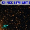 Cl* NGC 1978    WBT    5242