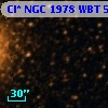 Cl* NGC 1978    WBT    5243