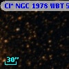 Cl* NGC 1978    WBT    5247