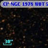 Cl* NGC 1978    WBT    5255