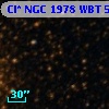 Cl* NGC 1978    WBT    5256