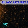 Cl* NGC 1978    WBT    5259