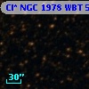 Cl* NGC 1978    WBT    5260