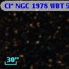 Cl* NGC 1978    WBT    5261