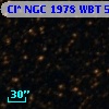 Cl* NGC 1978    WBT    5264