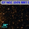 Cl* NGC 1978    WBT    5266