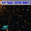 Cl* NGC 1978    WBT    5269
