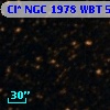 Cl* NGC 1978    WBT    5273
