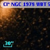 Cl* NGC 1978    WBT    5283