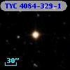 TYC 4084-329-1