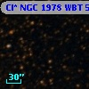 Cl* NGC 1978    WBT    5287