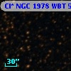 Cl* NGC 1978    WBT    5289