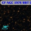 Cl* NGC 1978    WBT    5291