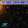 Cl* NGC 1978    WBT    5295