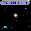 TYC 4084-344-1