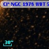 Cl* NGC 1978    WBT    5300