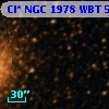 Cl* NGC 1978    WBT    5302