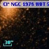 Cl* NGC 1978    WBT    5303