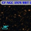 Cl* NGC 1978    WBT    5304