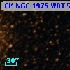 Cl* NGC 1978    WBT    5306