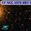 Cl* NGC 1978    WBT    5307