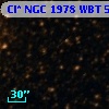 Cl* NGC 1978    WBT    5309
