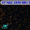 Cl* NGC 1978    WBT    5310