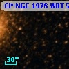 Cl* NGC 1978    WBT    5311