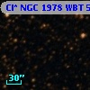 Cl* NGC 1978    WBT    5313