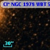 Cl* NGC 1978    WBT    5316