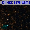 Cl* NGC 1978    WBT    5317