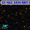 Cl* NGC 1978    WBT    5321