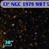 Cl* NGC 1978    WBT    5323
