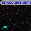 Cl* NGC 1978    WBT    5327
