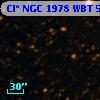Cl* NGC 1978    WBT    5328