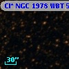 Cl* NGC 1978    WBT    5329