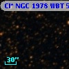 Cl* NGC 1978    WBT    5332