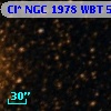Cl* NGC 1978    WBT    5333
