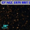 Cl* NGC 1978    WBT    5335