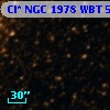 Cl* NGC 1978    WBT    5338