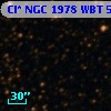 Cl* NGC 1978    WBT    5339