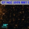 Cl* NGC 1978    WBT    5341