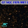 Cl* NGC 1978    WBT    5344