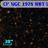 Cl* NGC 1978    WBT    5346
