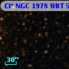 Cl* NGC 1978    WBT    5352