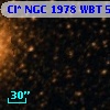 Cl* NGC 1978    WBT    5354